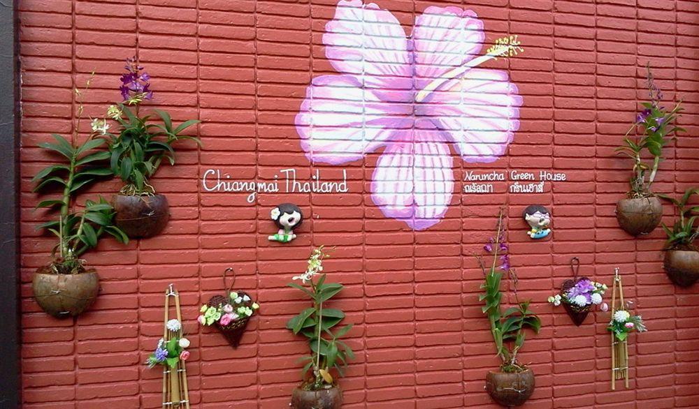 Naruncha Green House Chiang Mai Dış mekan fotoğraf
