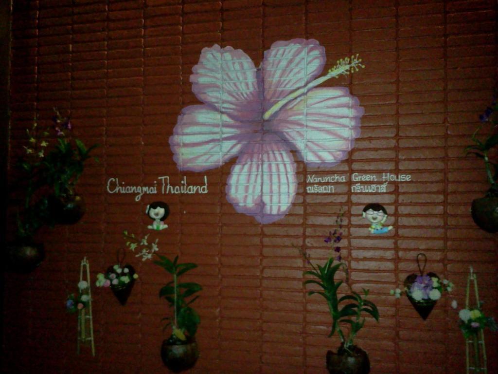 Naruncha Green House Chiang Mai Dış mekan fotoğraf