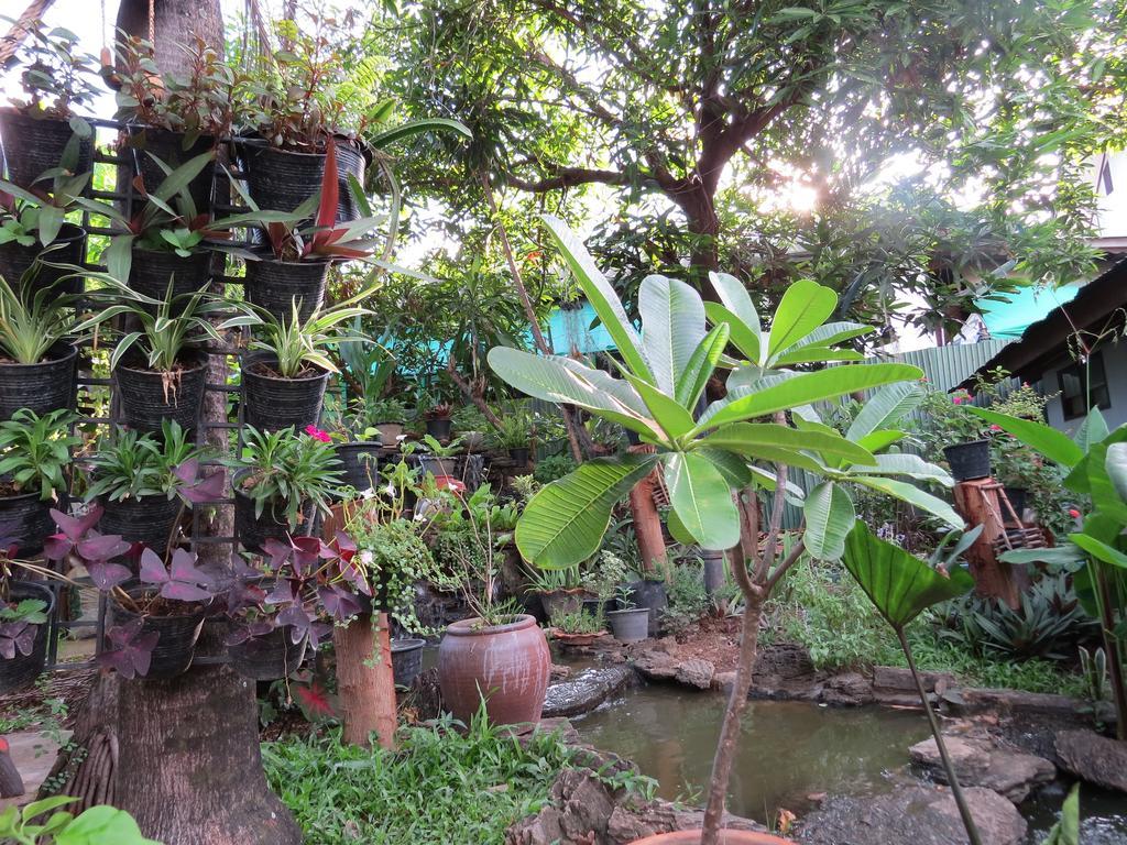 Naruncha Green House Chiang Mai Dış mekan fotoğraf